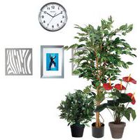Decorazione
